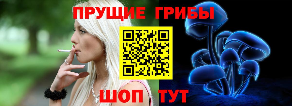 Сальск  Галлюциногенные грибы Cubensis  Галлюциногенные грибы Cubensis  Вход с VPN 